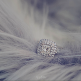 The Diamond Bundle - Meg Bitton Productions