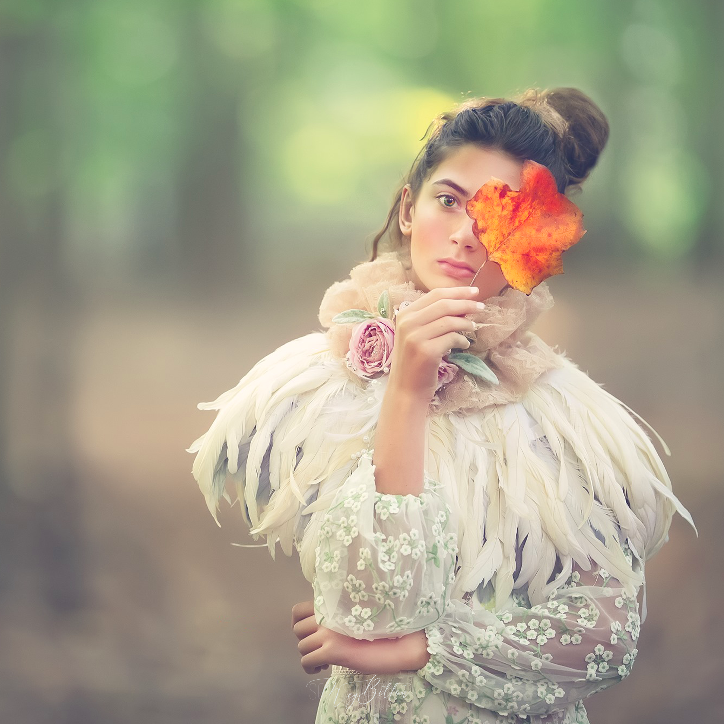 The Early Fall Bundle - Meg Bitton Productions