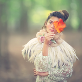 The Early Fall Bundle - Meg Bitton Productions