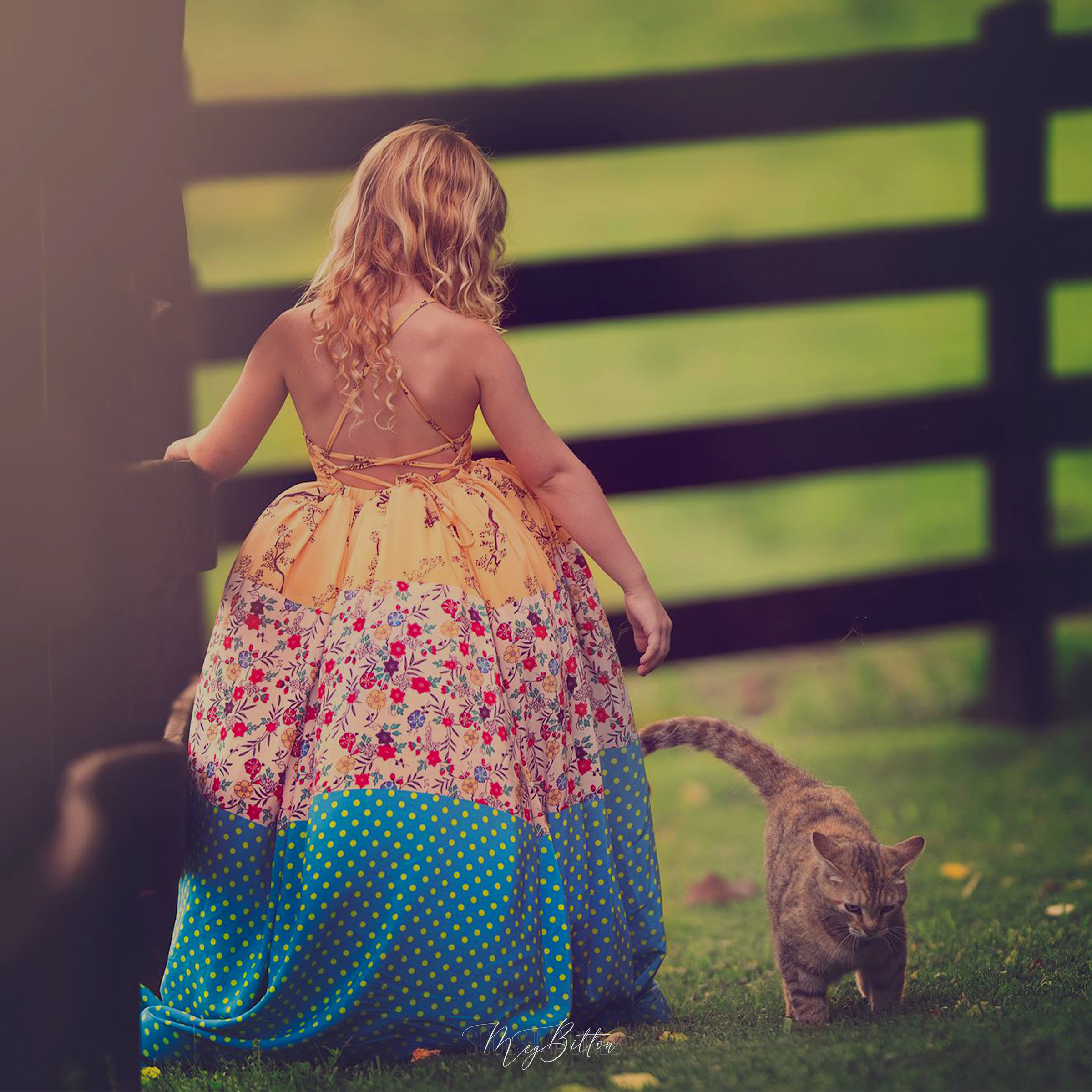 The Farm Bundle - Meg Bitton Productions