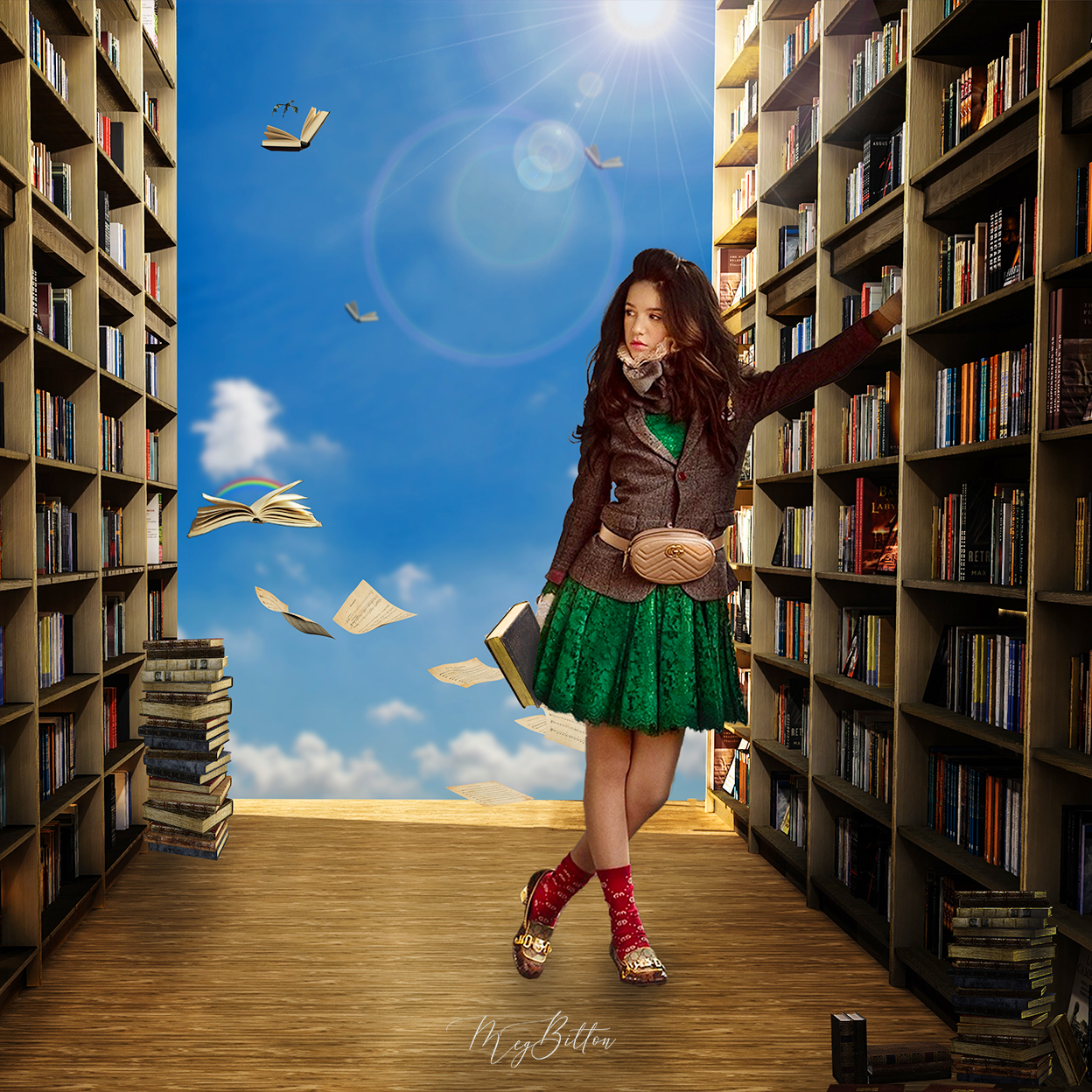 The Library Kit - Meg Bitton Productions