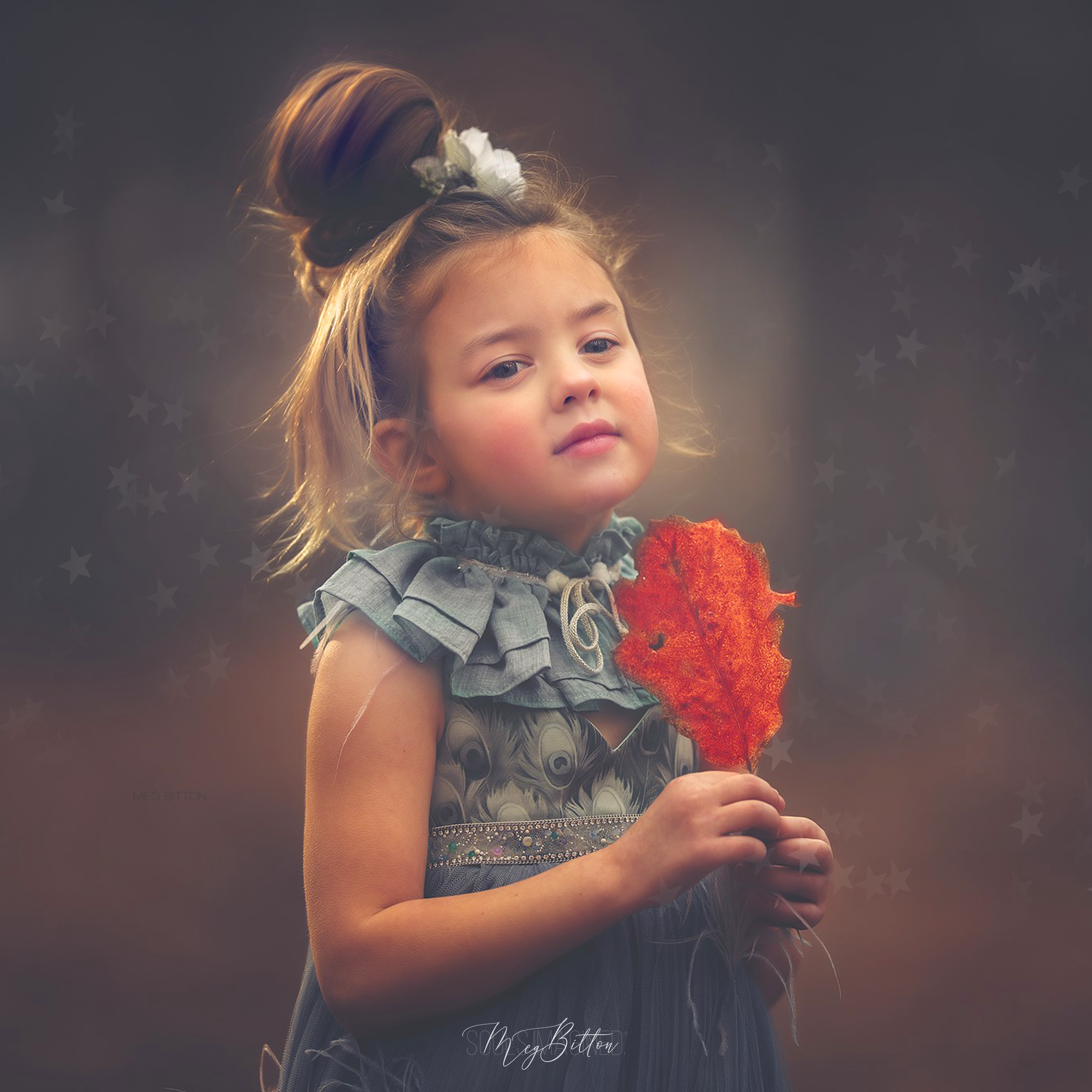 The Matte Bundle - Meg Bitton Productions