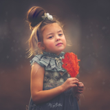 The Matte Bundle - Meg Bitton Productions