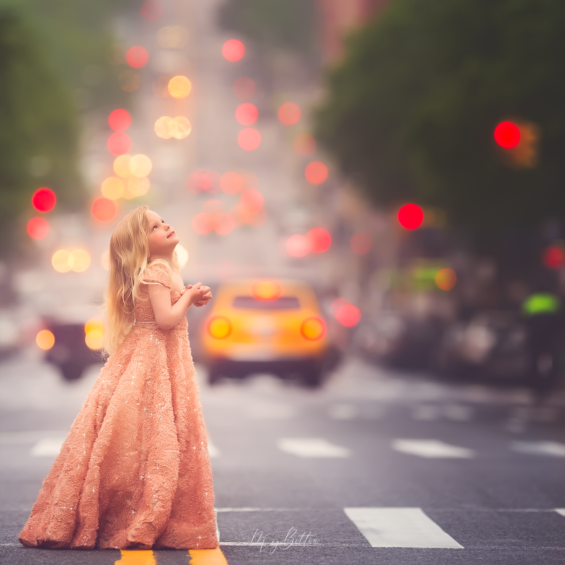 The NYC Bundle - Meg Bitton Productions
