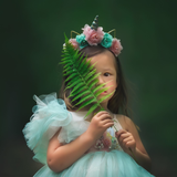 The Nature Bundle - Meg Bitton Productions