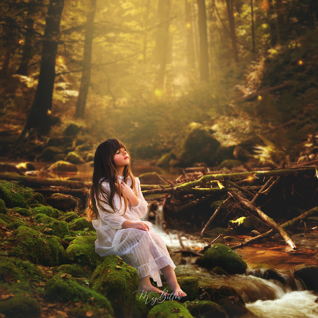 The Nature Kit - Meg Bitton Productions