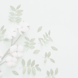 The Organic Bundle - Meg Bitton Productions