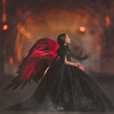 The Phoenix Rising Bundle - Meg Bitton Productions