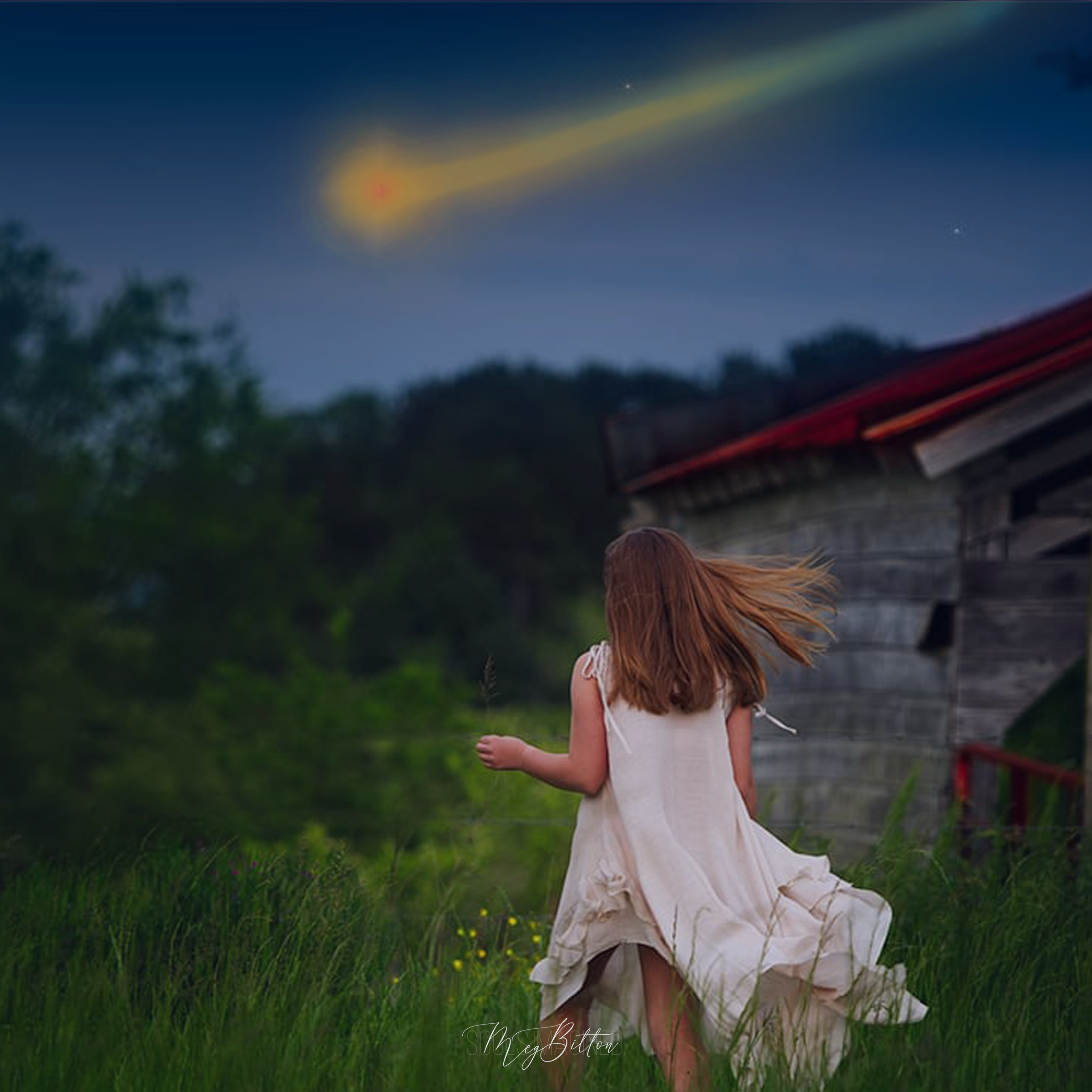 The Shooting Star Bundle - Meg Bitton Productions