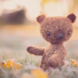 The Soft Bundle - Meg Bitton Productions