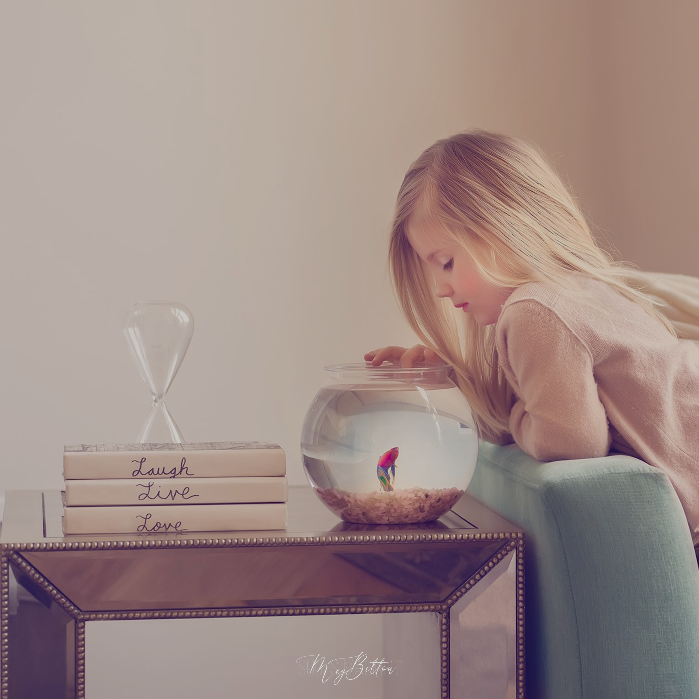 The Velvet Bundle - Meg Bitton Productions