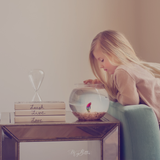 The Velvet Bundle - Meg Bitton Productions