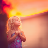 The Vibrant Bundle - Meg Bitton Productions