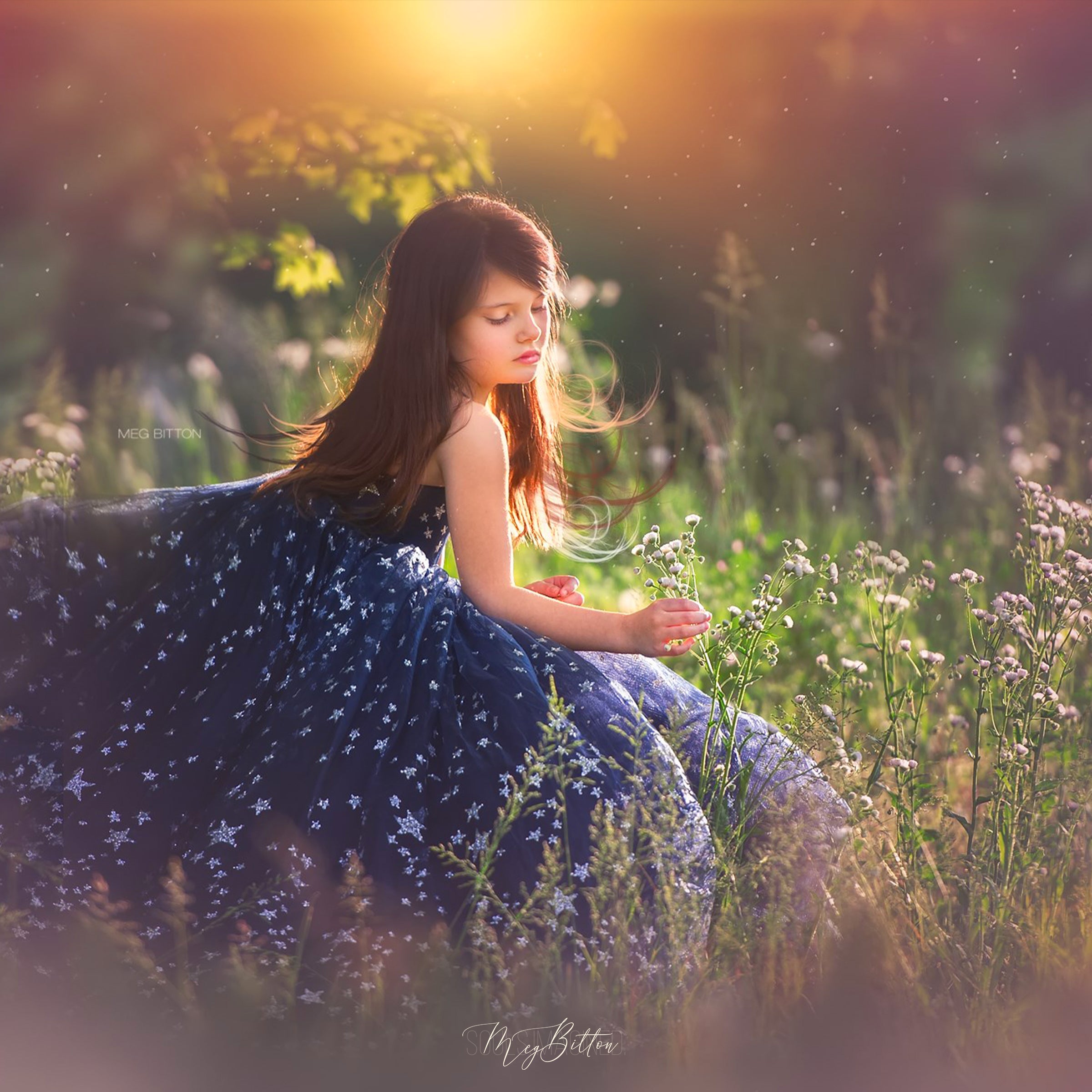 The Wildflower Bundle - Meg Bitton Productions