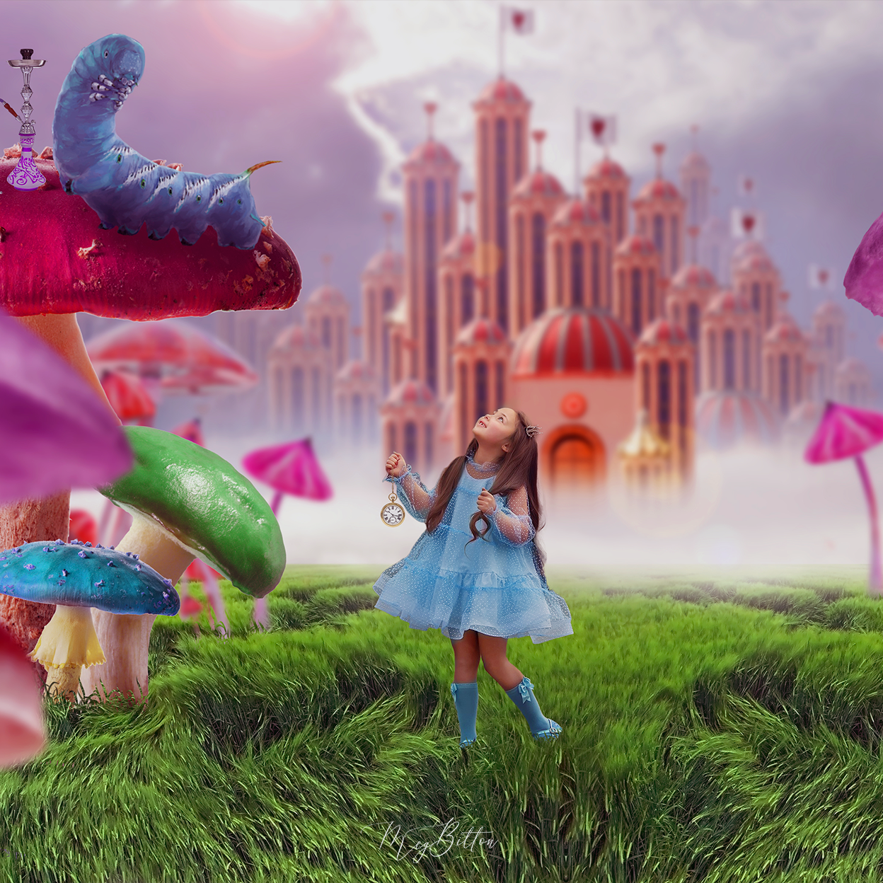 The Wonderland Kit - Meg Bitton Productions