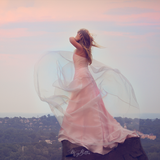 The Butterfly Bundle - Meg Bitton Productions