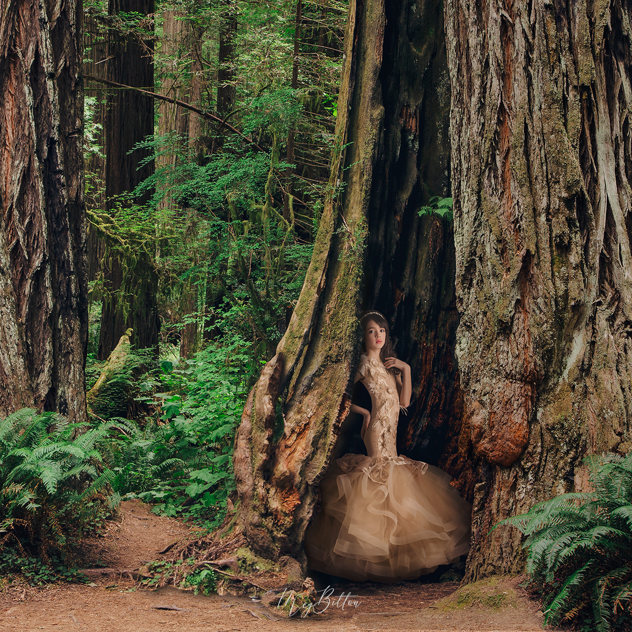 Hollow Tree Layered Digital Background - Meg Bitton Productions