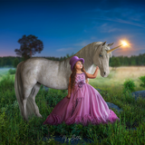 The Unicorn Kit - Meg Bitton Productions