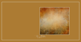 Magical Single Texture - Warm Fine Art - Meg Bitton Productions