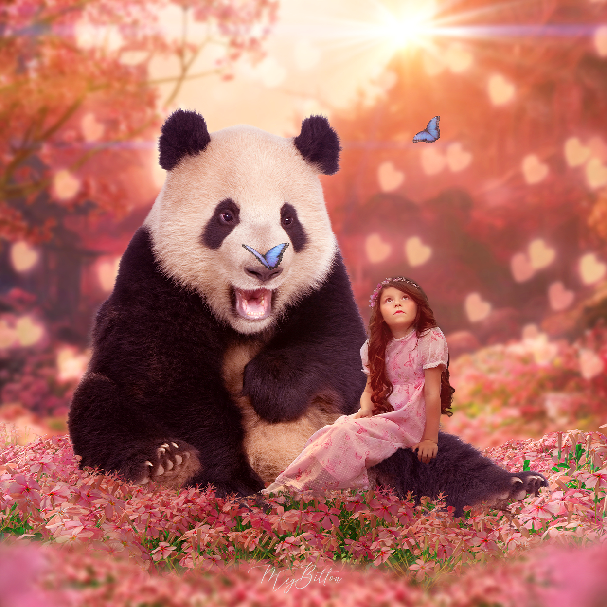 The Wild at Heart Kit - Meg Bitton Productions
