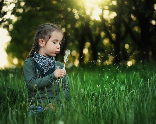 Dandelion Field - Meg Bitton Productions