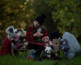 Beary Christmas - Meg Bitton Productions