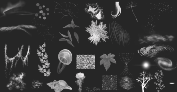 Magical Bundle of Brushes - Meg Bitton Productions