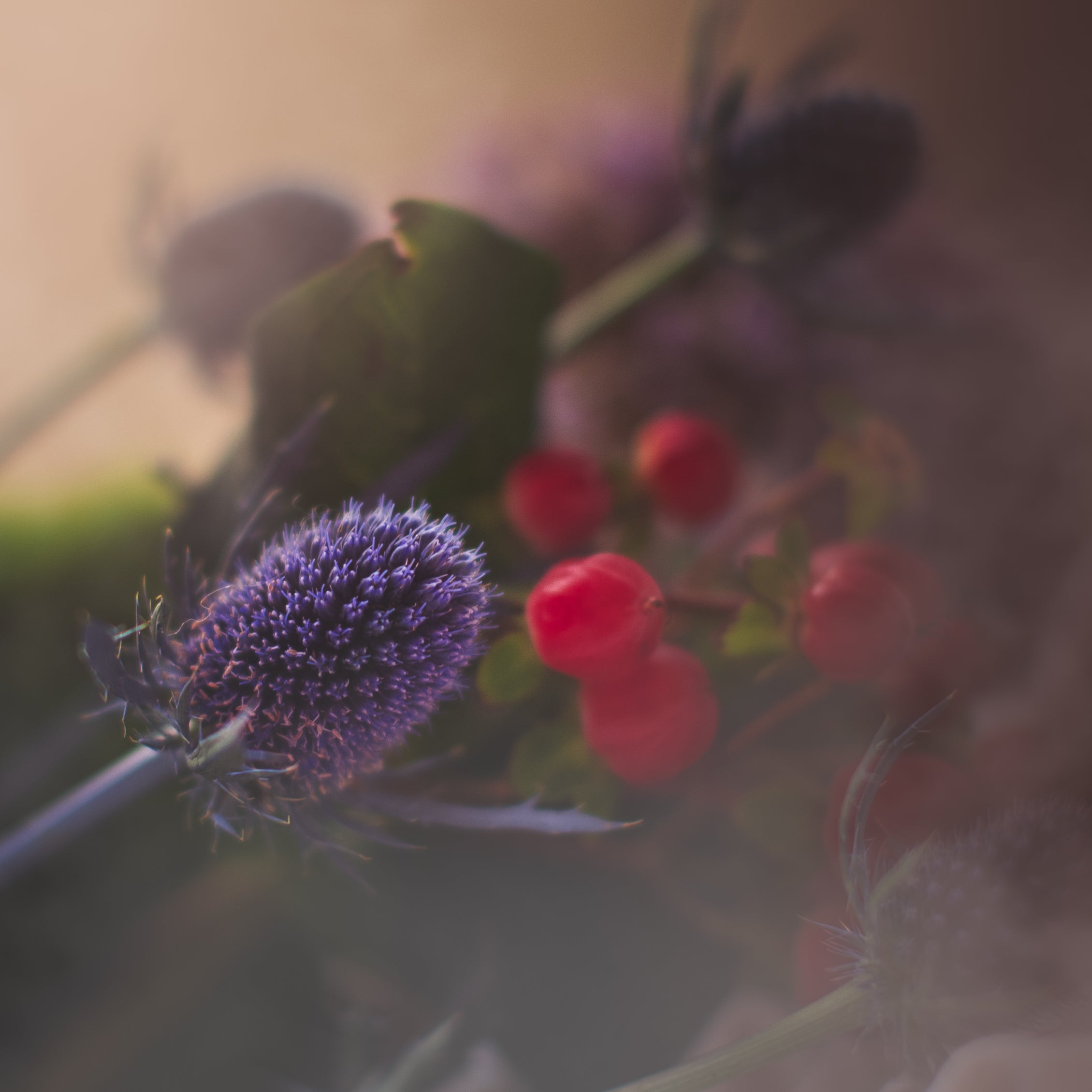 Colorful Floral - Meg Bitton Productions