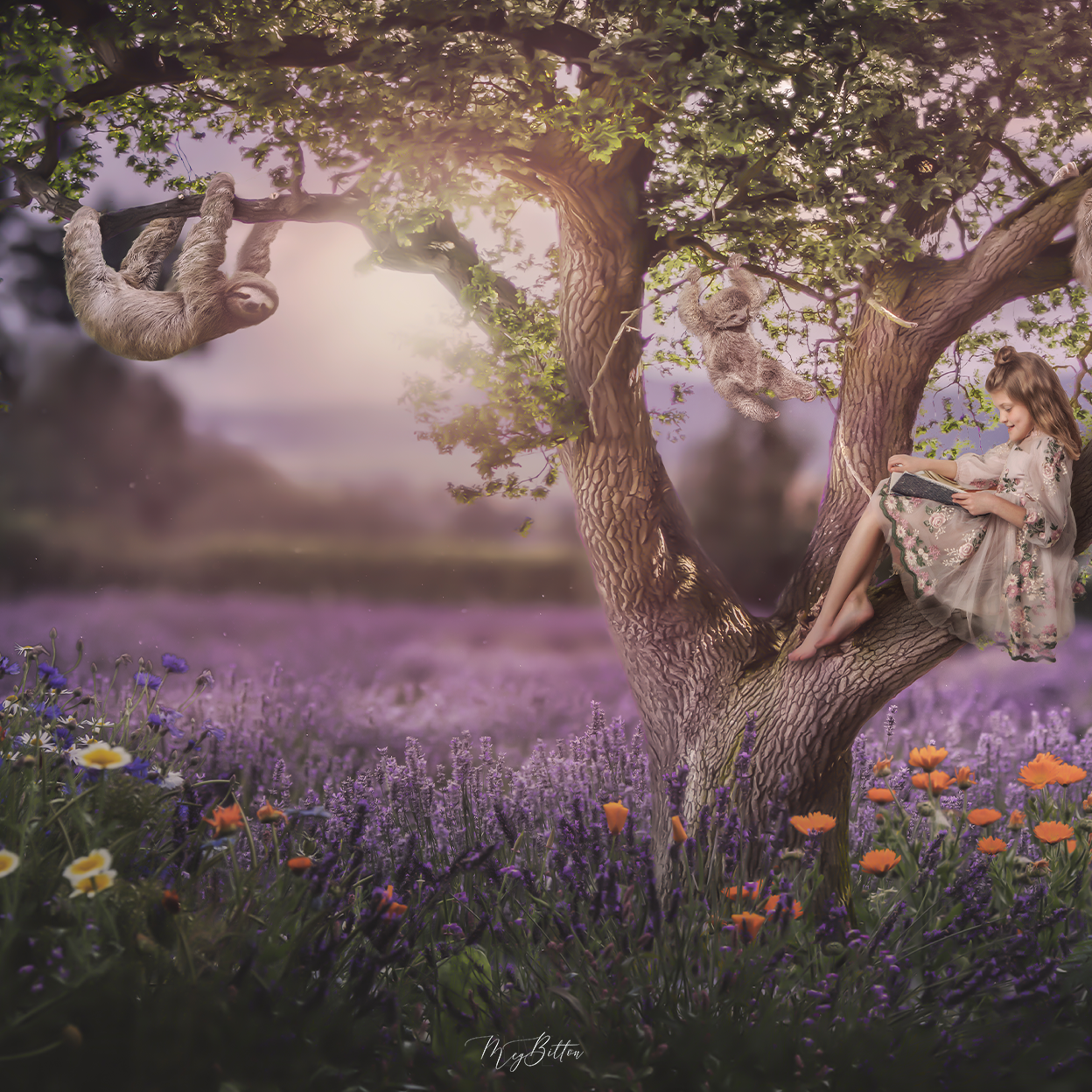 Telling Your Story Through Color Mini Fundamentals - Meg Bitton Productions