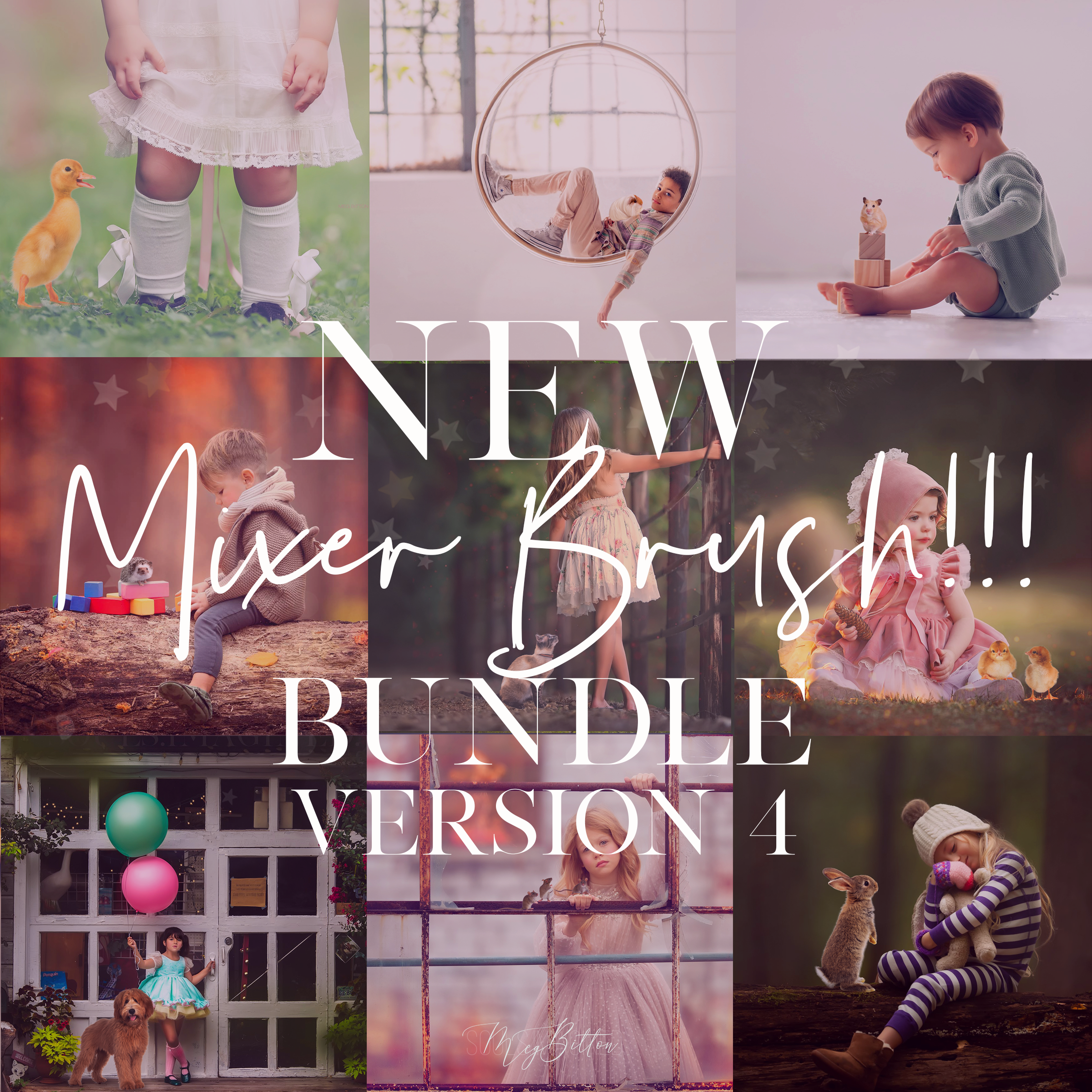 Limited Edition: Mixer Brush Bundle Version 4 - Meg Bitton Productions