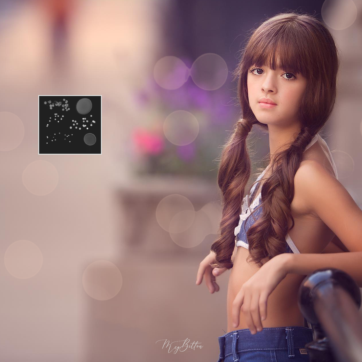 Bokeh Brushes - Meg Bitton Productions