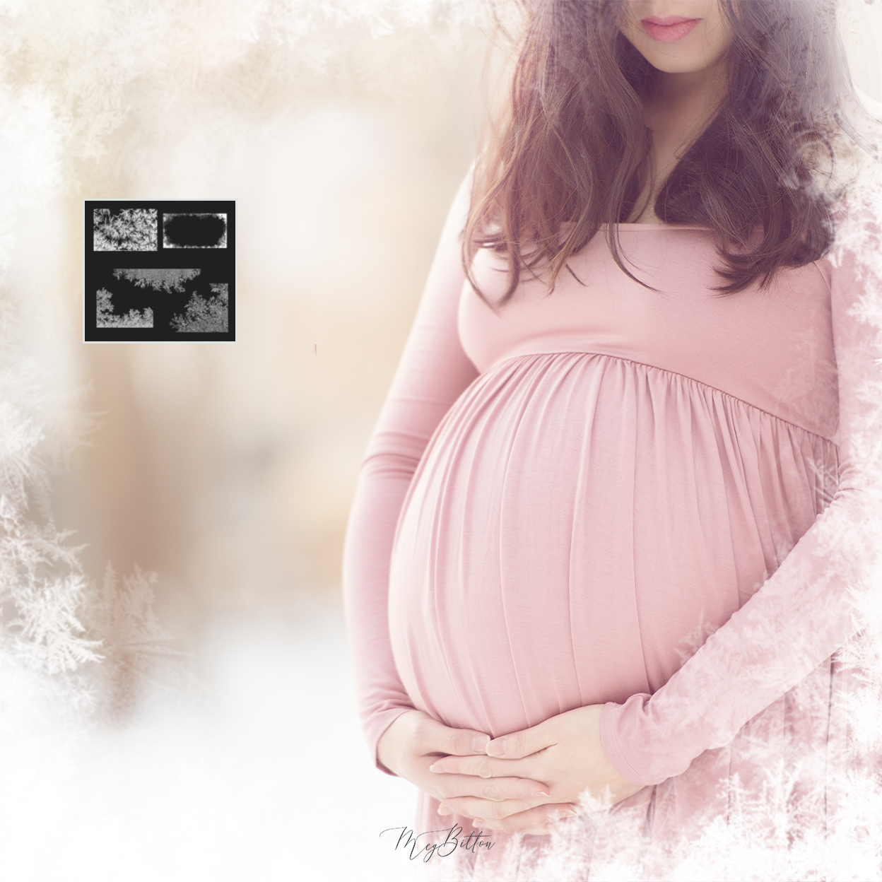 Frost Brushes - Meg Bitton Productions