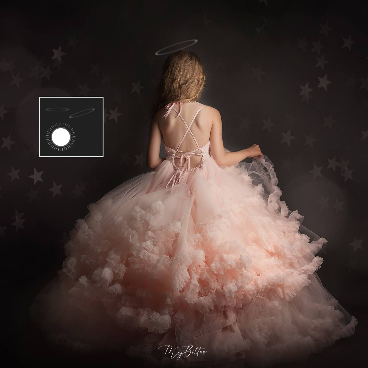 Halo Brushes - Meg Bitton Productions