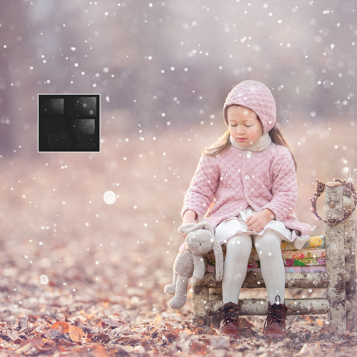 Snow Brushes - Meg Bitton Productions