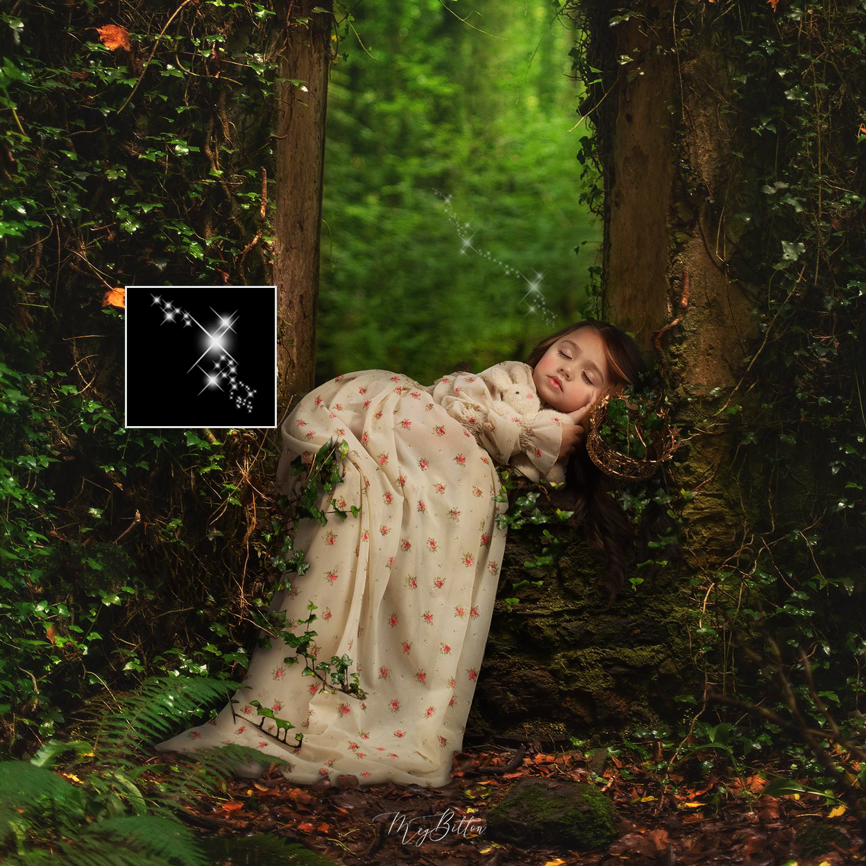 Sparkle Brushes - Meg Bitton Productions