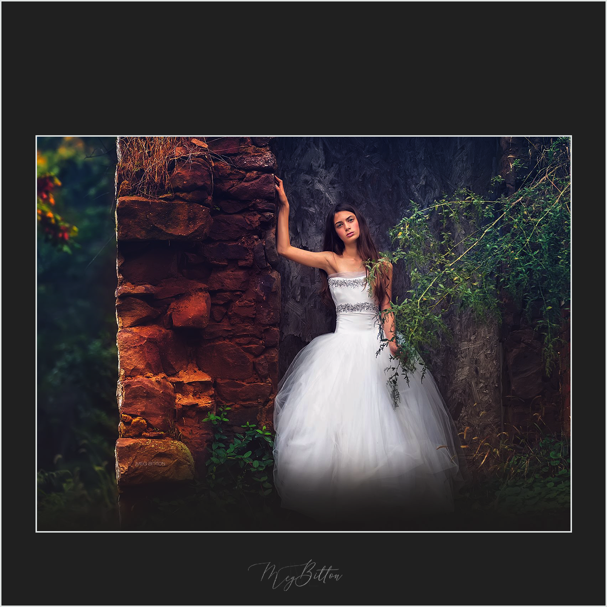 Magical Gradients - Meg Bitton Productions