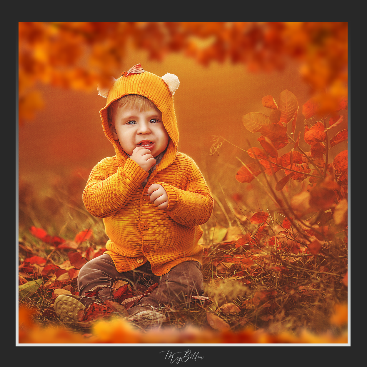 Magical Shoot Through - Fall Border - Meg Bitton Productions