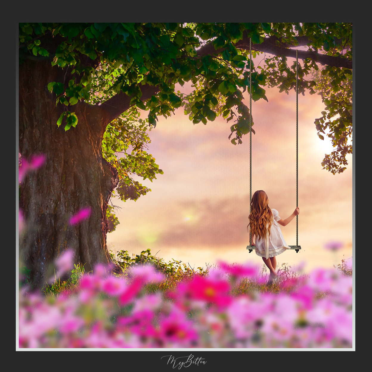 Magical Shoot Through - Pink Cosmos - Meg Bitton Productions