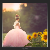 Magical Shoot Through - Sunny Sunflowers - Meg Bitton Productions