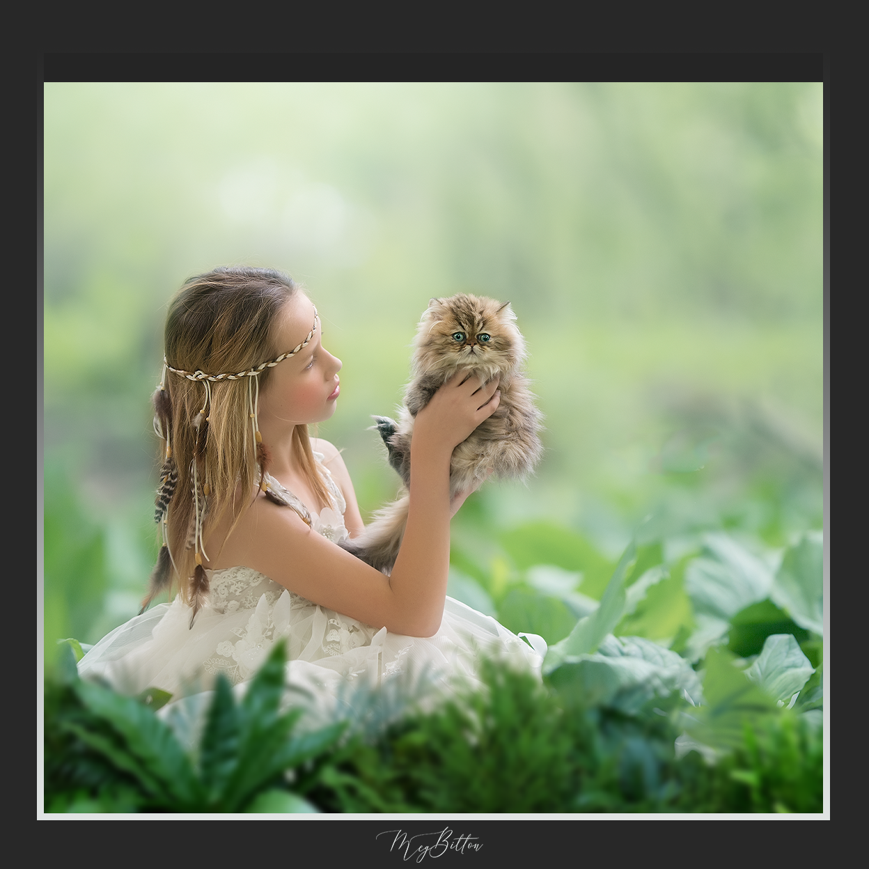 Magical Shoot Through - Tropical Plants - Meg Bitton Productions