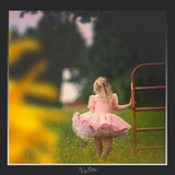 Magical Shoot Through - Sunflower - Meg Bitton Productions