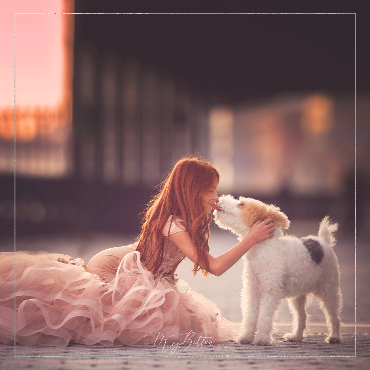 Magical Puppy Dog Action - Meg Bitton Productions