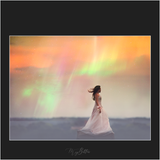 Magical Northern Lights Skies - Meg Bitton Productions