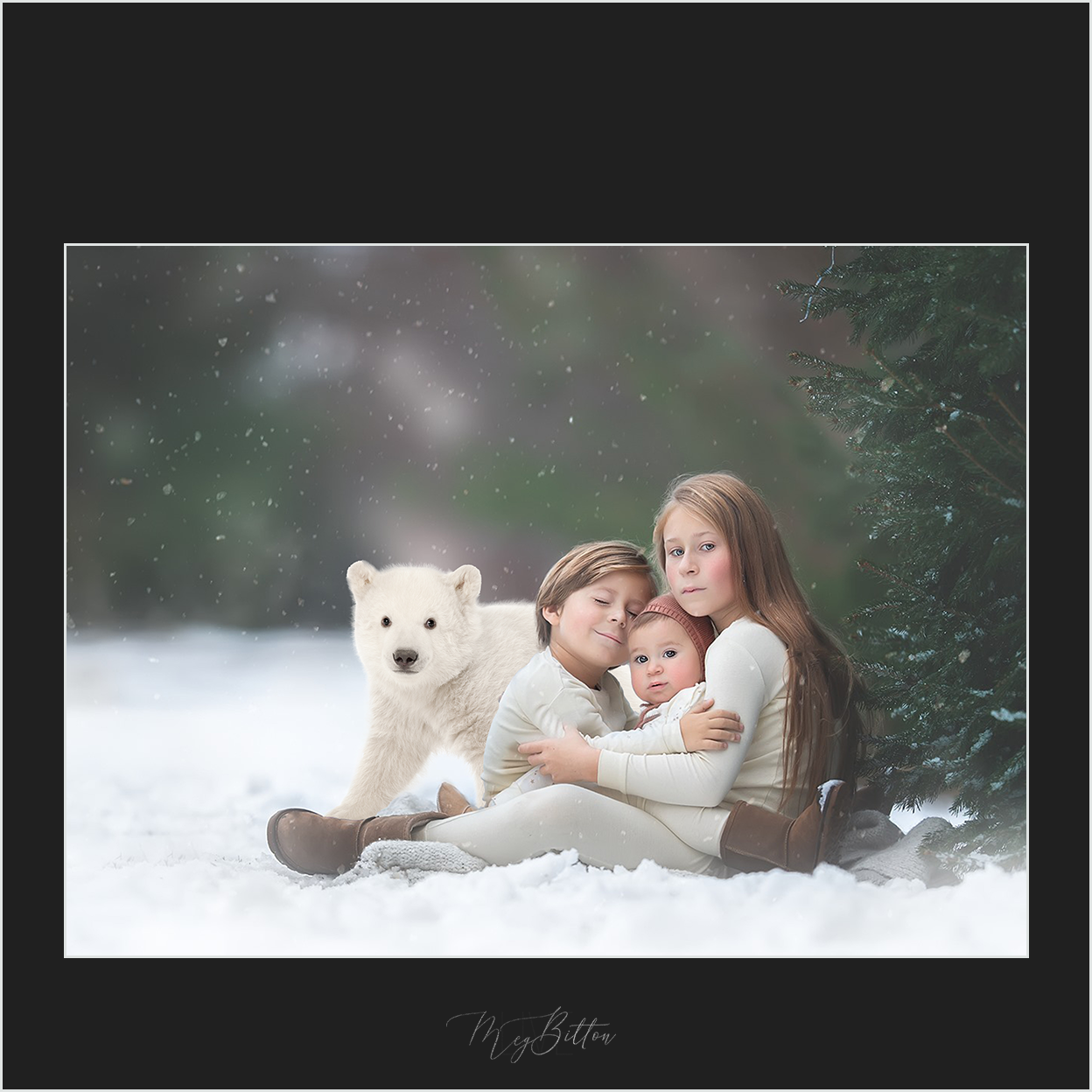 Magical Snowy Animals - Meg Bitton Productions