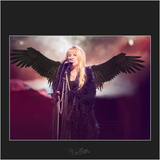 Magical Stevie Overlays - Meg Bitton Productions