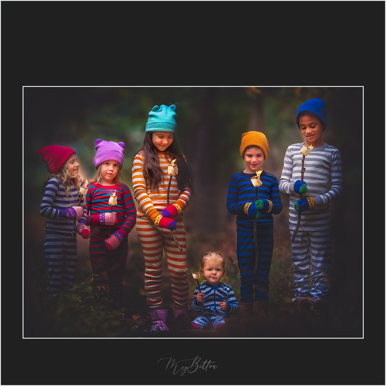 Magical Toasted Marshmallows - Meg Bitton Productions