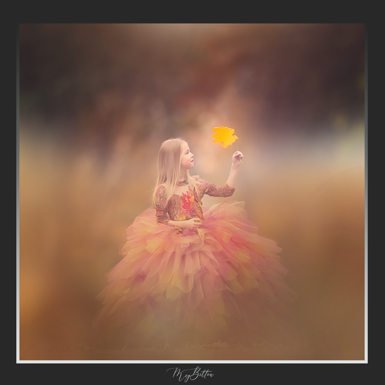 Magical Shoot Through - Corn Maze - Meg Bitton Productions