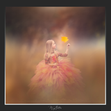 Magical Shoot Through - Corn Maze - Meg Bitton Productions