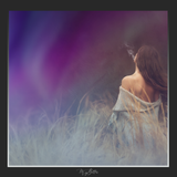 Magical Shoot Through - Northern Lights - Meg Bitton Productions