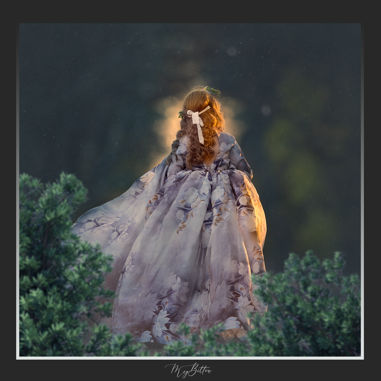 Magical Shoot Through - Foliage Frame - Meg Bitton Productions